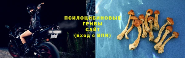 кристаллы Нея