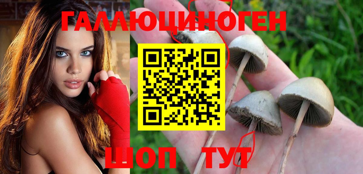 Бугуруслан  Галлюциногенные грибы Magic Shrooms  Вход с VPN  Псилоцибиновые грибы Cubensis 