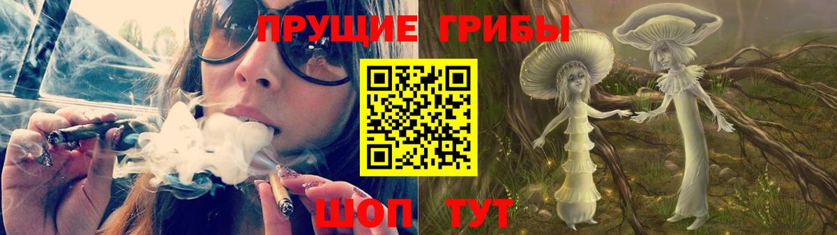 Галлюциногенные грибы Psilocybe Бугуруслан